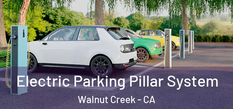 Electric Parking Pillar System Walnut Creek - CA