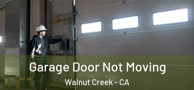  Garage Door Not Moving Walnut Creek - CA
