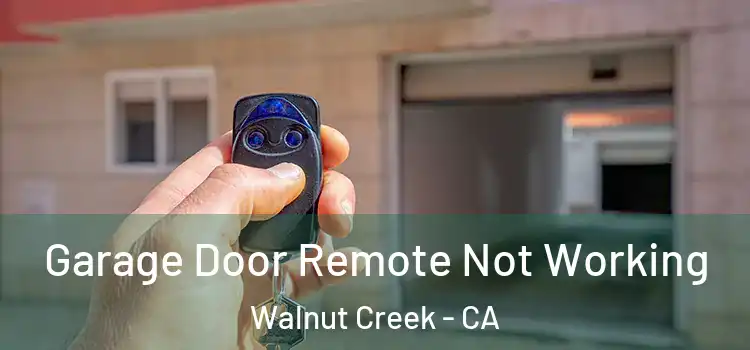  Garage Door Remote Not Working Walnut Creek - CA
