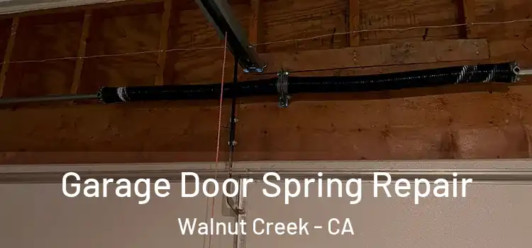  Garage Door Spring Repair Walnut Creek - CA