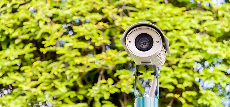 Advanced Surveillance Solutions for Every Need in Walnut Creek