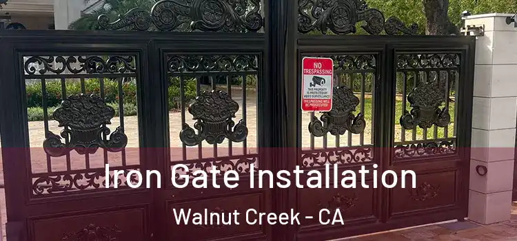  Iron Gate Installation Walnut Creek - CA