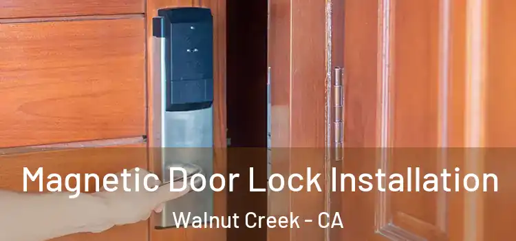  Magnetic Door Lock Installation Walnut Creek - CA