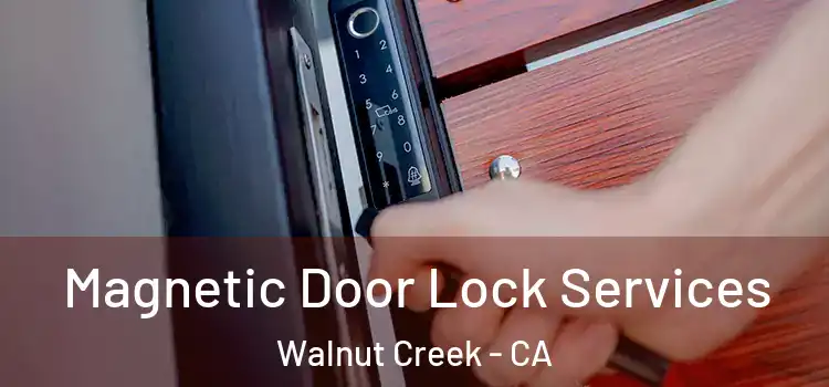 Magnetic Door Lock Services Walnut Creek - CA